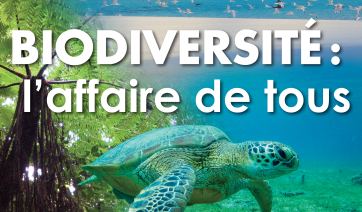 Biodiversité : l'affaire de tous